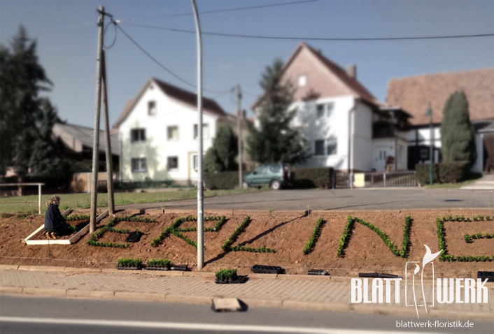 Bepflanzung im Ortskern von Berlingerode